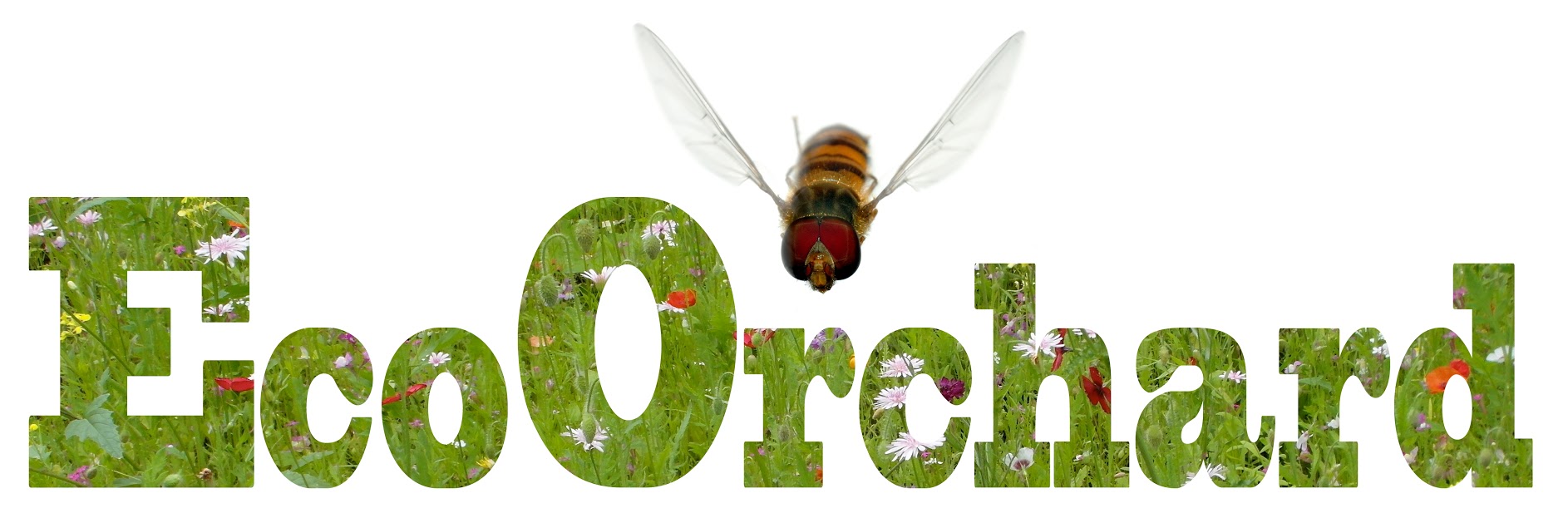 EcoOrchard_Logo
