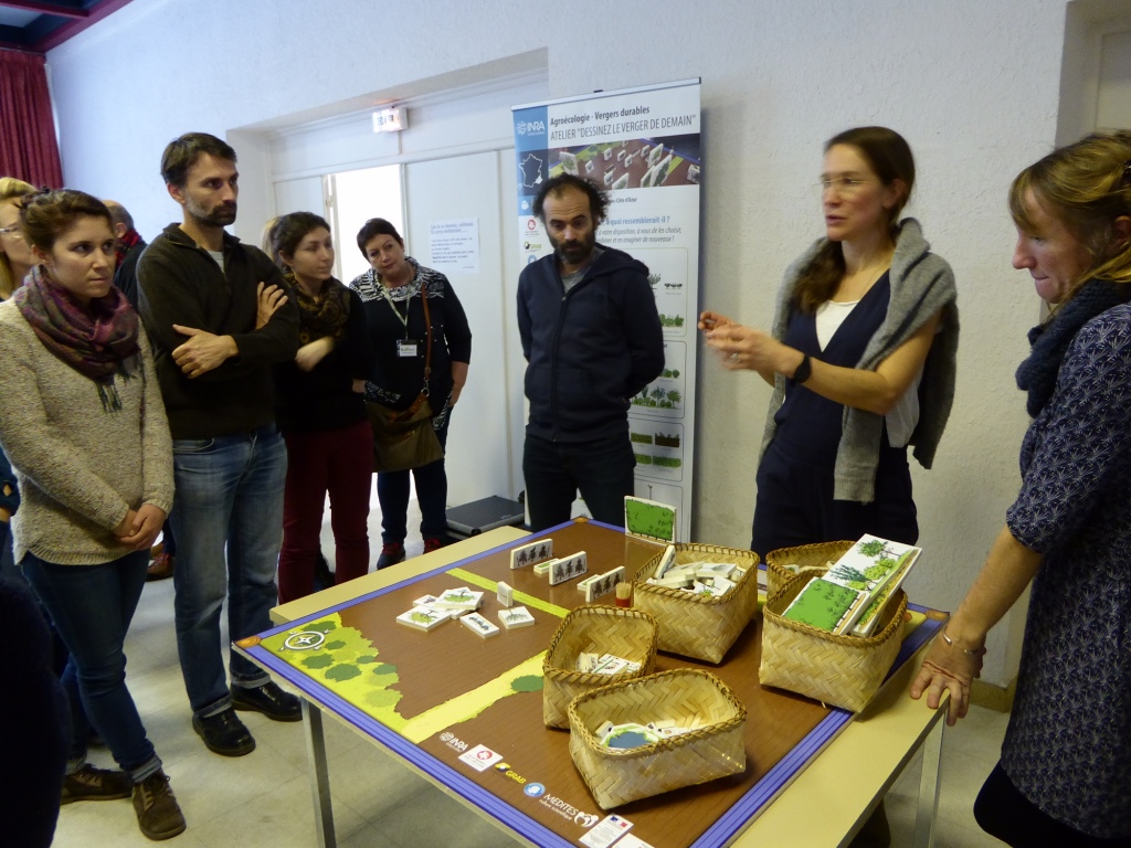 Stakeholder workshop at Avignon, November 2017